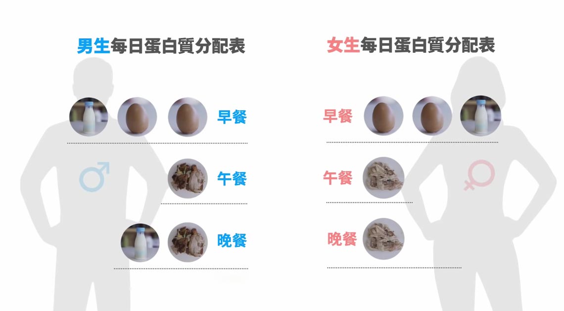 男生女生每日蛋白
