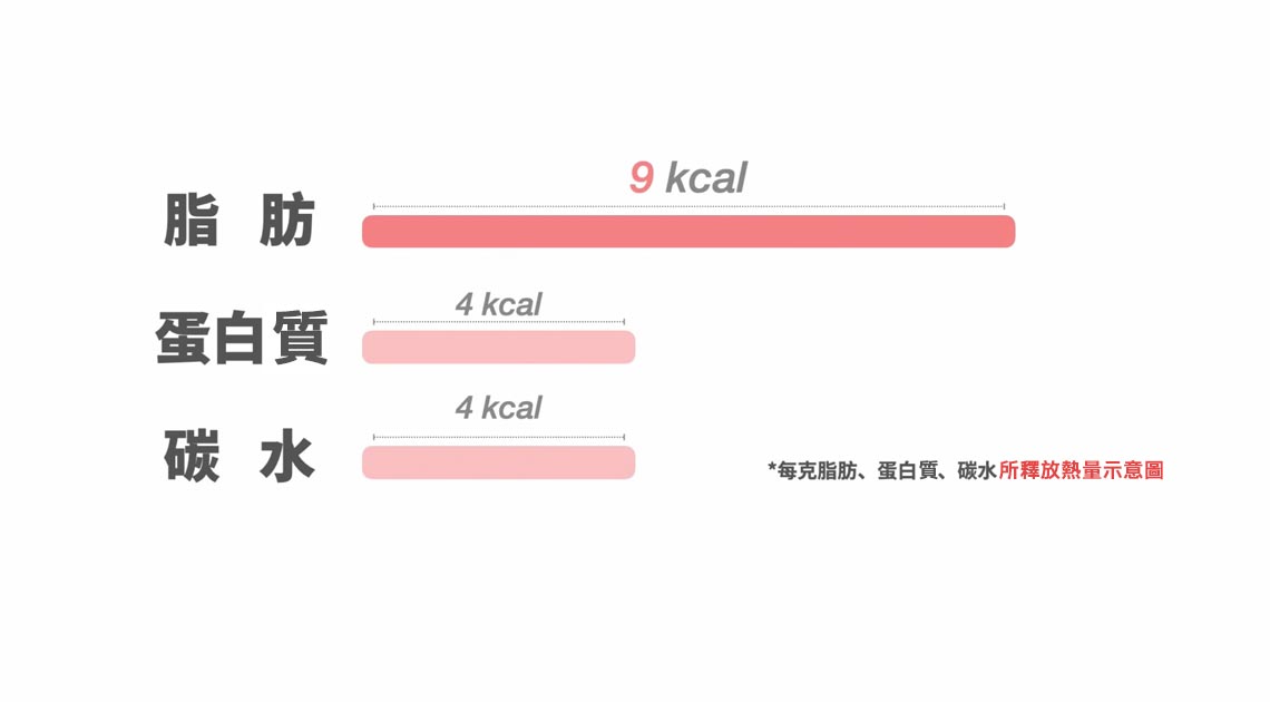 脂肪2倍